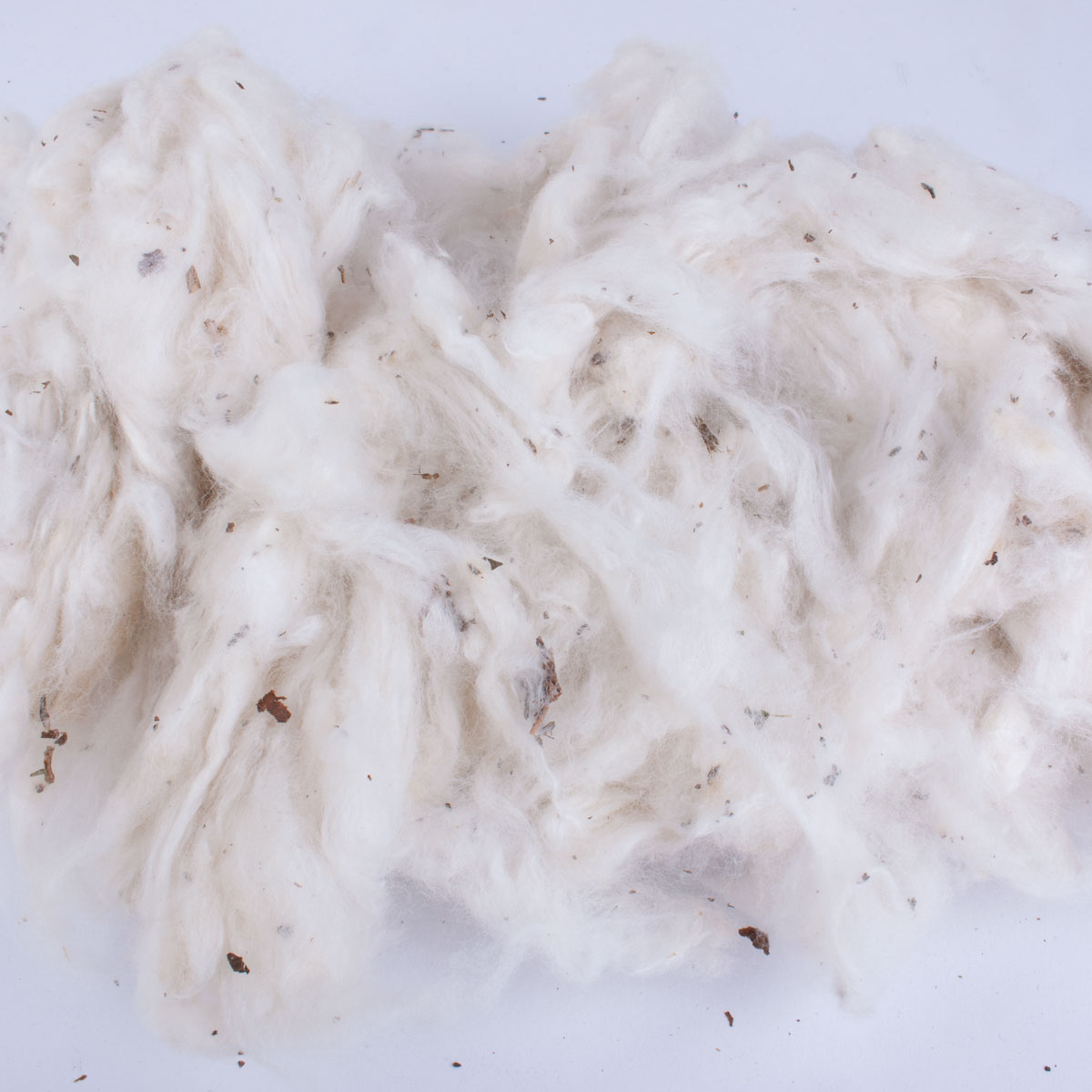 Cotton fiber top